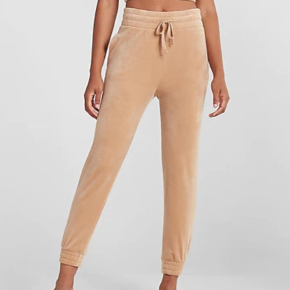 Express Super High Waisted Velour Joggers